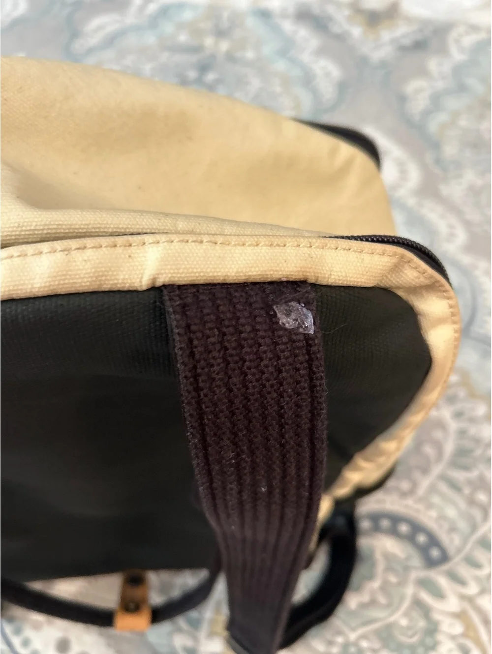 Petunia Pickle Bottom Two-Tone Canvas Backpack